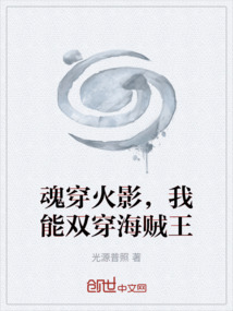 魂穿火影，我能雙穿海賊王