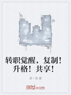 轉(zhuǎn)職覺醒，復(fù)制！升格！共享！在線閱讀