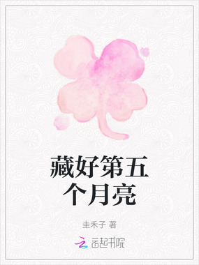 藏好第五个月亮在线阅读
