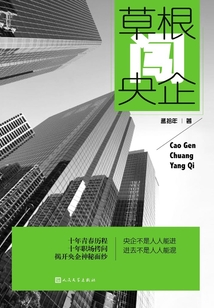草根闖央企
