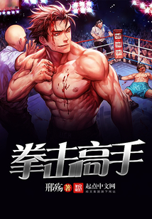 拳擊高手