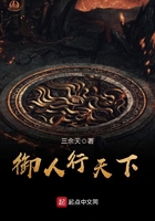 混在人类世界的狐狸