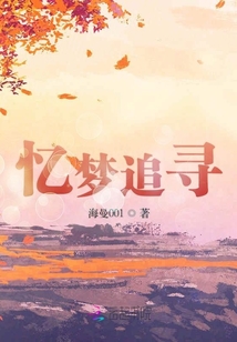 憶夢追尋