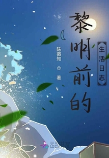黎明前的生活日志