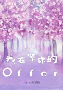 我在等你的Offer