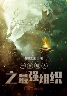 一拳超人之最強組織
