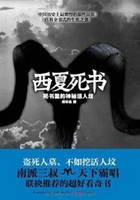 西夏死書在線閱讀