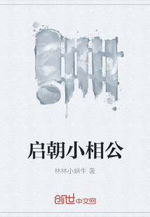 启朝小相公