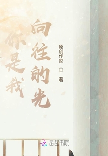 你是我向往的光