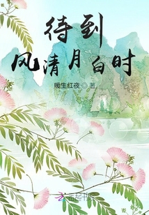 待到風(fēng)清月白時