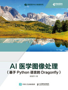 AI医学图像处理（基于Python语言的Dragonfly）在线阅读