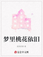 梦里桃花依旧在线阅读