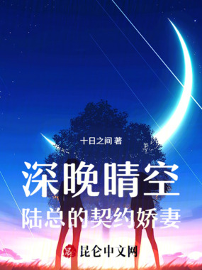 深晚晴空陆总的契约娇妻在线阅读