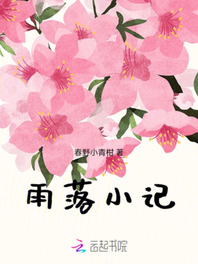 雨落小记在线阅读