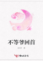 不等爺回首在線閱讀