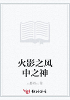 火影之風中之神在線閱讀