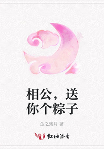相公,送你个粽子