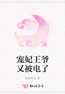 寵妃王爺又被電了