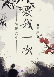 请陈先生爱我一次