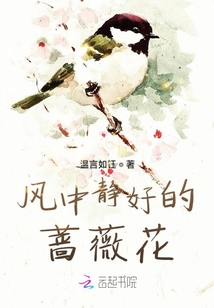 风中静好的蔷薇花