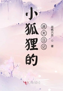 小狐貍的追夫日記