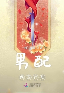 男配保衛計劃