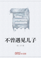 不曾遇見兒子在線閱讀