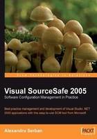 Visual SourceSafe 2005 Software Configuration Management in Practice在线阅读