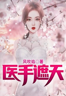 医手遮天在线阅读
