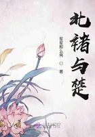 北褚与楚在线阅读