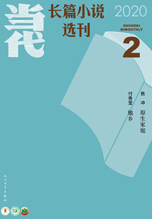 當代長篇小說選刊（2020年2期）