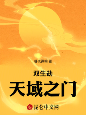 双生劫:天域之门在线阅读