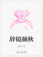 辞镜颜秋在线阅读