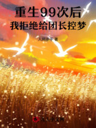 重生99次后,我拒绝给团长控梦在线阅读