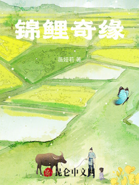 锦鲤奇缘在线阅读