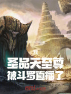 我，圣品天至尊，被斗罗直播了！在线阅读