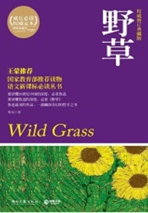 野草