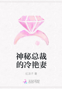 神秘总裁的冷艳妻