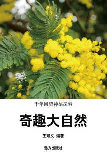 千年回望神秘探索 奇趣大自然