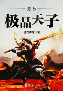 無敵極品天子