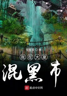 我在大夏混黑市