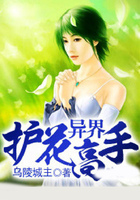 异界护花高手在线阅读