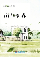南阳有森
