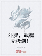 斗罗，武魂无极剑！在线阅读