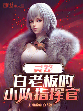 灵笼:白老板的小队指挥官在线阅读