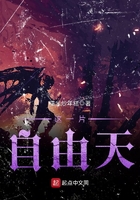 這一片自由天在線閱讀