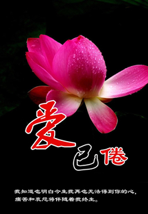 愛已倦