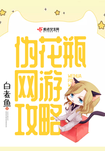 偽花瓶網游攻略