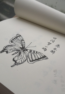 世间梦一场愿长醉
