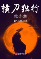 橫刀獨行在線閱讀
